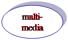 Овал: multi-media